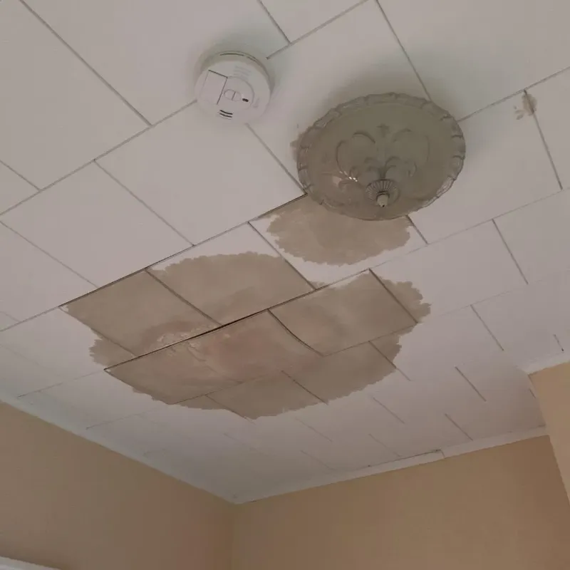 Ceiling Water Damage Repair in Madison, CT