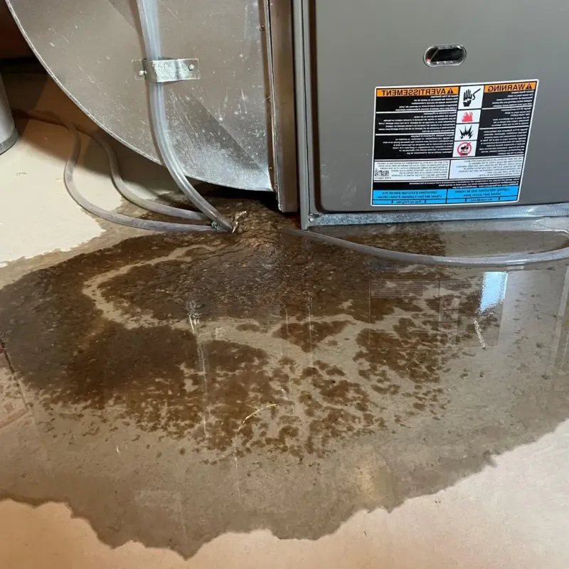 Pipe Burst and Leak Restoration in Madison, CT